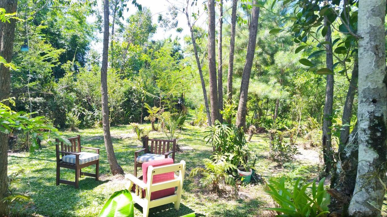Apartament Sitio Sapiranga Zewnętrze zdjęcie